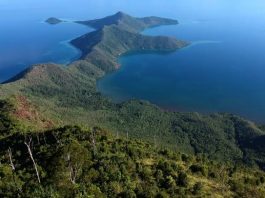 Pulau Padamarang Destinasi Andalan Kolaka Selanjutnya !