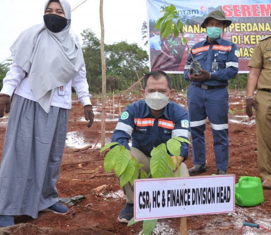 Kolaborasi Antam dan PeTANI Ciptakan Kebun Edukasi Kakao dan Kopi di Pomalaa