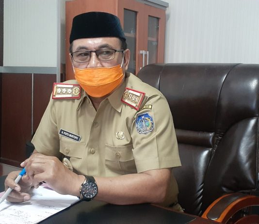 3.874 Tenaga Honorer Terancam Menganggur, Sekab Kolaka: Kita Dorong ke PPPK dan CPNS