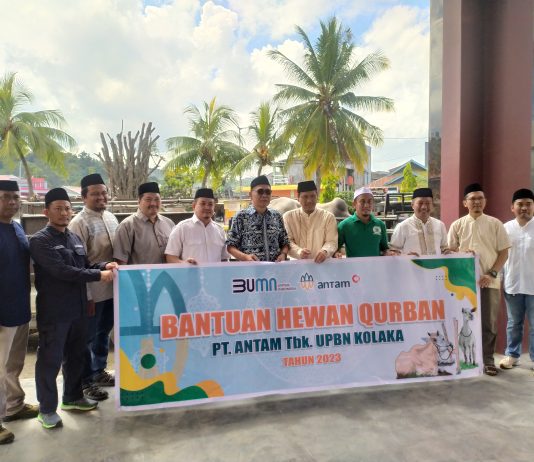Sambut Hari Idul Adha 1444 H, PT. Antam Salurkan 12 Ekor Sapi ke Masyarakat Kolaka