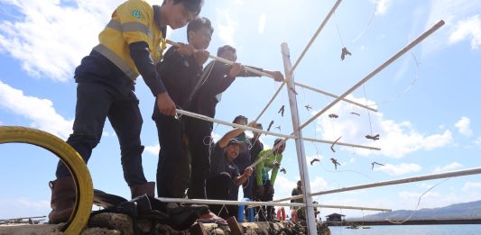 Kolaborasi ANTAM dan Warga Desa Hakatutobu Buat Coral Nursery dan Transplantasi Terumbu Karang