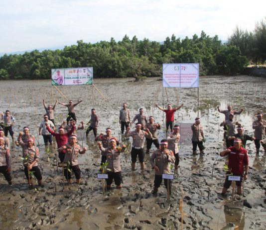 Polres Kolaka Kolaborasi dengan Pemkab Tanam 1000 Pohon Mangrove