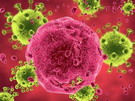 Warning! Kasus HIV di Kolaka Terkonfirmasi 97 Orang Positif