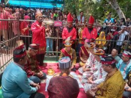 Ritual Adat Mosehe Wonua Mekongga Berlangsung Hikmat dan Meriah
