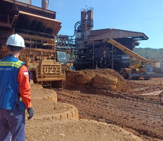 Titik Impas (BEP) Proyek Vale di Perkirakan Plaing Cepat 5-10 Tahun
