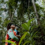 MIND ID dan PT Vale Indonesia TBK Berhasil Laksanakan Program Reklamasi dan Reforestasi di Area Tambang