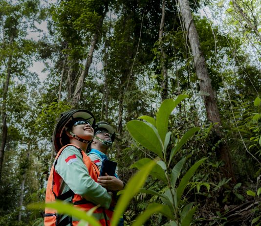 MIND ID dan PT Vale Indonesia TBK Berhasil Laksanakan Program Reklamasi dan Reforestasi di Area Tambang