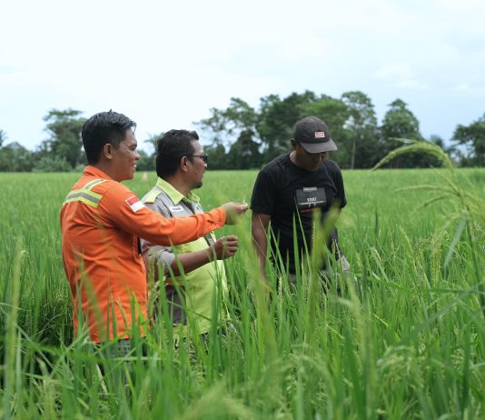 PT Vale Berkomitmen untuk Memberdayakan Masyarakat Lokal melalui Livelihood Restoration Program