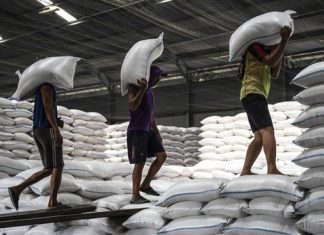 Harga Beras Naik 163 Kabupaten/Kota Terdampak