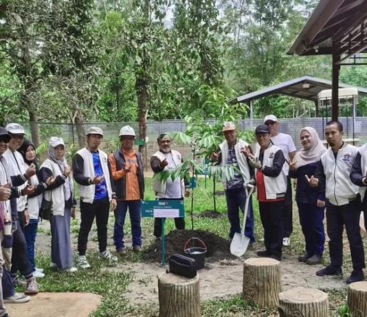 Rektor Unanda Palopo Tanam Pohon Eboni di PT Vale Indonesia Tbk, Harapkan Manfaat Luar Biasa bagi Masyarakat