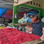 Harga Tomat dan Cabai Merah Melambung di Pasar Raya Mekongga Kolaka