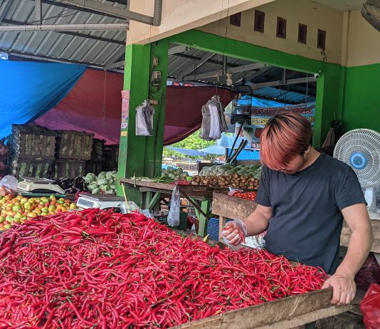 Harga Tomat dan Cabai Merah Melambung di Pasar Raya Mekongga Kolaka