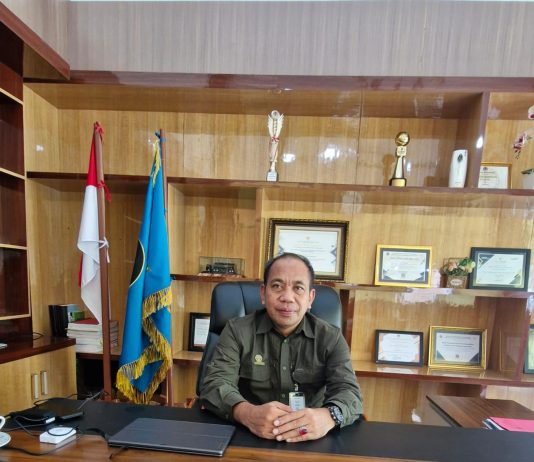 Perambahan Hutan di Sulawesi, Gakkum Imbau Perusahaan Jaga Kawasan Hutan