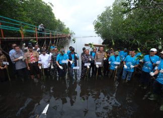 PT Vale Indonesia Tbk Perkuat Komitmen pada Lingkungan dengan Penanaman Mangrove dan Restorasi Terumbu Karang