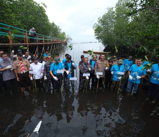 PT Vale Indonesia Tbk Perkuat Komitmen pada Lingkungan dengan Penanaman Mangrove dan Restorasi Terumbu Karang