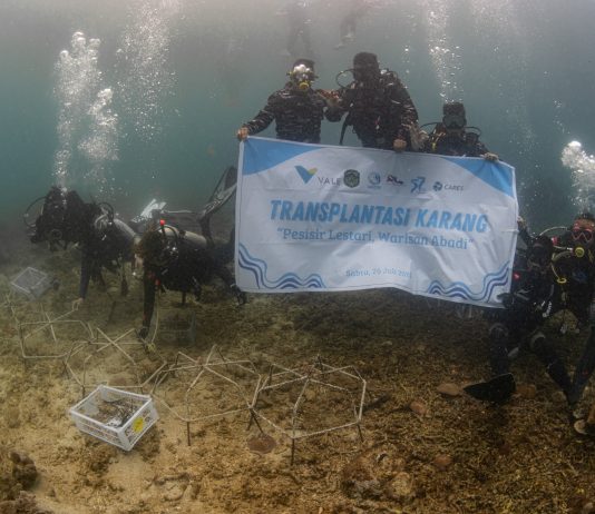 Restorasi Laut Indonesia: PT Vale dan Mitra Lakukan Aksi Nyata di Pulau Bulupoloe