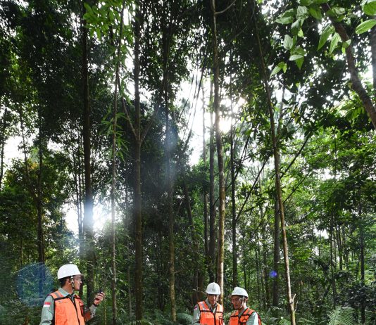 PT Vale Berkomitmen terhadap Pembangunan dan Keberlanjutan Lingkungan