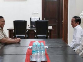 Jokowi Apresiasi Kinerja Diplomasi Ekonomi Prabowo, IEU-CEPA dan Tarif Ekspor AS Turun