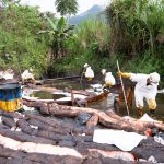 PT Vale Berkomitmen Tangani Insiden Kebocoran Pipa Minyak di Towuti Secara Cepat dan Transparan