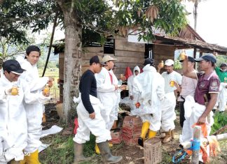 PT Vale dan Pemda Luwu Timur Berkolaborasi untuk Atasi Kebocoran Minyak di Towuti