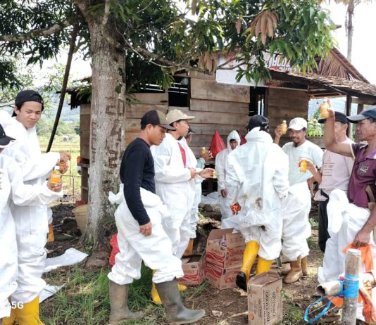 PT Vale dan Pemda Luwu Timur Berkolaborasi untuk Atasi Kebocoran Minyak di Towuti