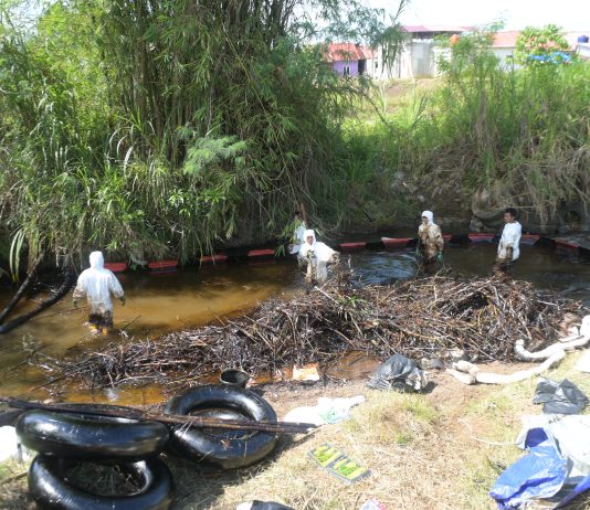 Pemulihan Towuti: PT Vale Terima 162 Aduan Warga dan Tunjukkan Komitmen Nyata dalam Penanganan Lingkungan
