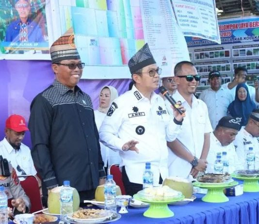 Pemda Kolaka Gelar Gerakan Panen Raya Cabai di Ulunggolaka