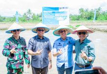 Tanam Perdana Demplot Padi di Kolaka: Kolaborasi PT Vale, Kemenko Pangan, dan Pemda Wujudkan Ketahanan Pangan Berkelanjutan