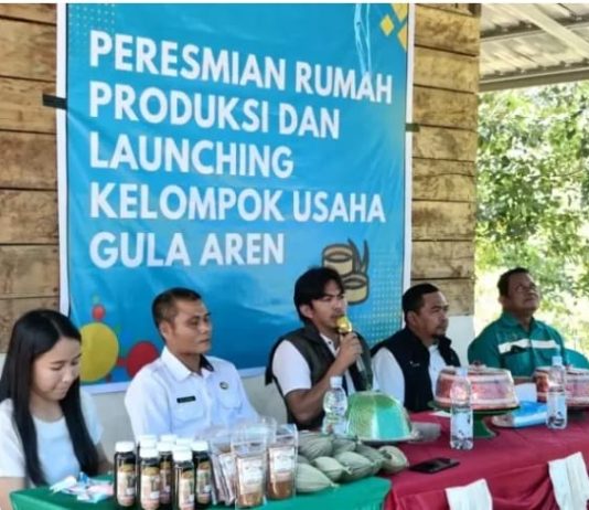 Desa Balambano Kini Produksi Gula Aren, Didukung PT Vale Indonesia Tbk