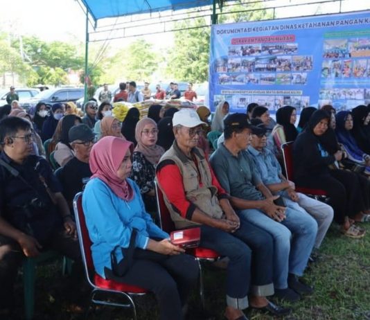 Gerakan Pangan Murah Kolaka: Pemkab Jaga Stabilitas Harga Pangan Jelang Natal 2025 dan Tahun Baru 2026