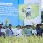 Dukung Asta Cita Presiden dan SDGs Ketahanan Pangan, PT Vale Panen Bersama Demplot Padi Berkelanjutan di Kolaka