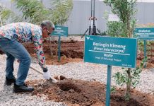 Reklamasi Berbasis Sains, PT Vale Dorong Pemulihan Lingkungan di Morowali