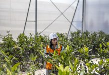 Efisiensi & Harga Nikel Dirong Kinerja PT Vale Triwulan I 2026