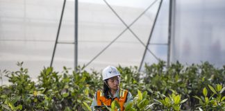 Efisiensi & Harga Nikel Dirong Kinerja PT Vale Triwulan I 2026