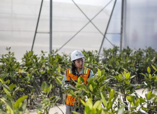 Efisiensi & Harga Nikel Dirong Kinerja PT Vale Triwulan I 2026