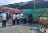 Polres Kolaka Salurkan Daging Qurban Kepada Masyarakat