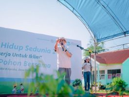 Dari Sekolah untuk Bumi: PT Vale dan Pemkab Kolaka Tanam Harapan Lewat Aksi Penghijauan