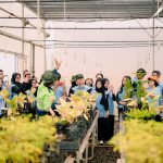 Dorong Generasi Peduli Lingkungan, PT Vale Edukasi Praktik Green Mining Lewat Nursery Tanggetada