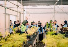 Dorong Generasi Peduli Lingkungan, PT Vale Edukasi Praktik Green Mining Lewat Nursery Tanggetada