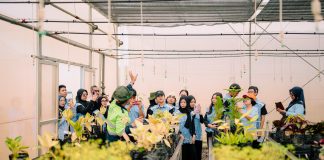 Dorong Generasi Peduli Lingkungan, PT Vale Edukasi Praktik Green Mining Lewat Nursery Tanggetada