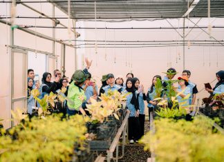 Dorong Generasi Peduli Lingkungan, PT Vale Edukasi Praktik Green Mining Lewat Nursery Tanggetada